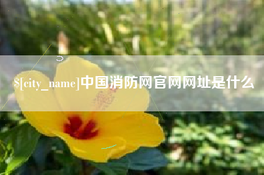 漳浦中国消防网官网网址是什么