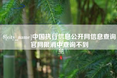 漳浦中国执行信息公开网信息查询官网限消中查询不到