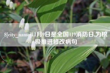 漳浦11月9日是全国119消防日,为积极推进修改病句