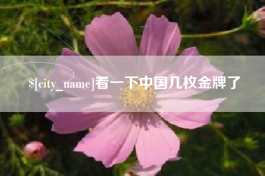 漳浦看一下中国几枚金牌了