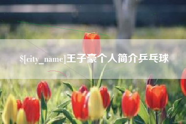 漳浦王子豪个人简介乒乓球