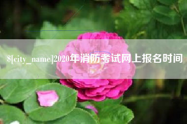 漳浦2020年消防考试网上报名时间