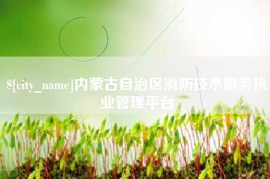 漳浦内蒙古自治区消防技术服务执业管理平台