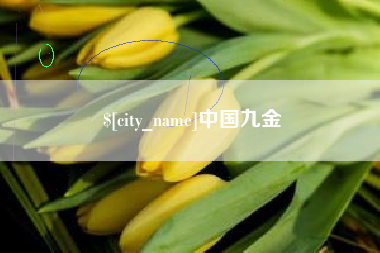 漳浦中国九金