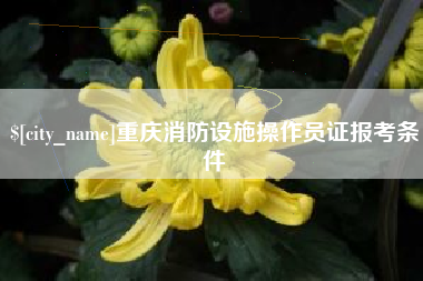 漳浦重庆消防设施操作员证报考条件