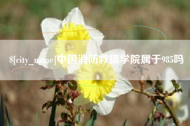 漳浦中国消防救援学院属于985吗