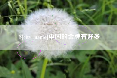 漳浦中国的金牌有好多