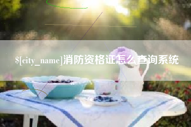 漳浦消防资格证怎么查询系统