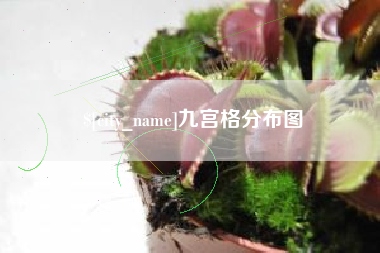 漳浦九宫格分布图
