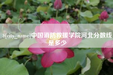 漳浦中国消防救援学院河北分数线是多少