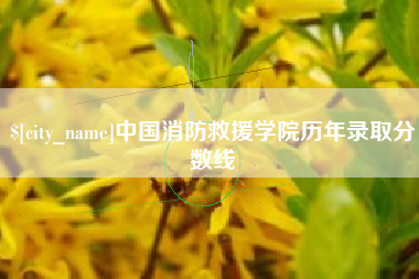 漳浦中国消防救援学院历年录取分数线