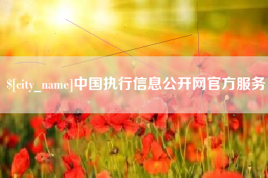 漳浦中国执行信息公开网官方服务