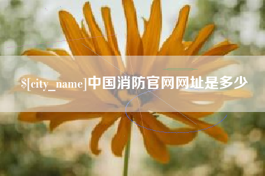 漳浦中国消防官网网址是多少