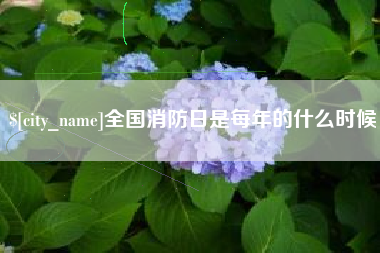 漳浦全国消防日是每年的什么时候