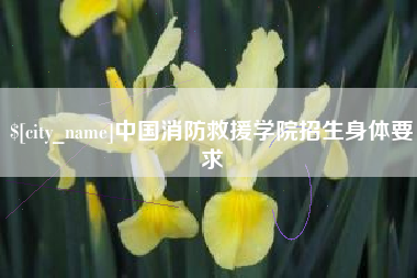 漳浦中国消防救援学院招生身体要求