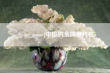 漳浦中国的金牌有几名
