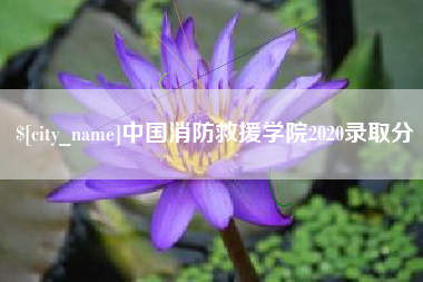漳浦中国消防救援学院2020录取分