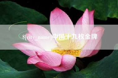漳浦中国十九枚金牌