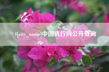 漳浦中国执行网公开查询