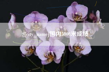 漳浦国内5000米成绩