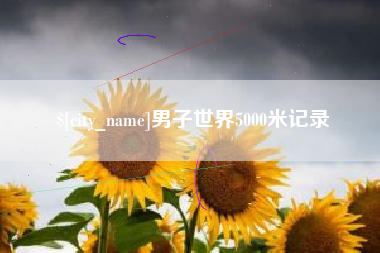 漳浦男子世界5000米记录