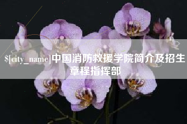 漳浦中国消防救援学院简介及招生章程指挥部