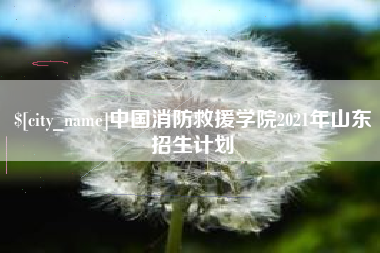 漳浦中国消防救援学院2021年山东招生计划
