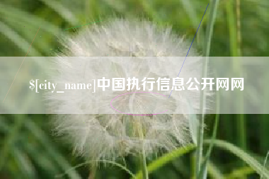 漳浦中国执行信息公开网网