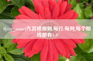 漳浦九宫格规则,每行,每列,每个粗线都有1-9