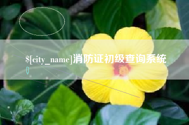 漳浦消防证初级查询系统