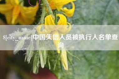 漳浦中国失信人员被执行人名单查询