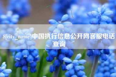 漳浦中国执行信息公开网客服电话查询