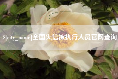 漳浦全国失信被执行人员官网查询