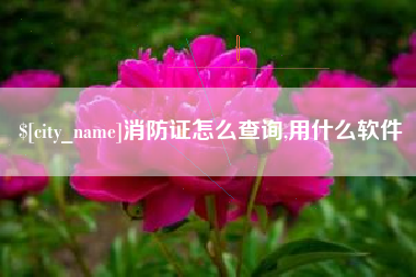 漳浦消防证怎么查询,用什么软件