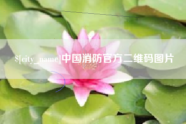 漳浦中国消防官方二维码图片