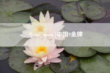 漳浦中国9金牌