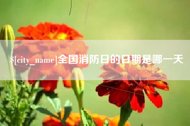 漳浦全国消防日的日期是哪一天