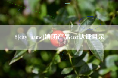 漳浦消防产品cccf认证目录
