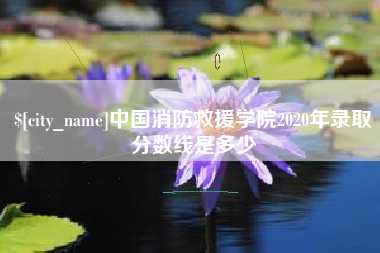 漳浦中国消防救援学院2020年录取分数线是多少