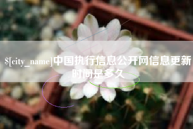 漳浦中国执行信息公开网信息更新时间是多久