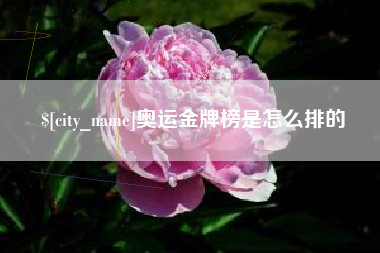 漳浦奥运金牌榜是怎么排的
