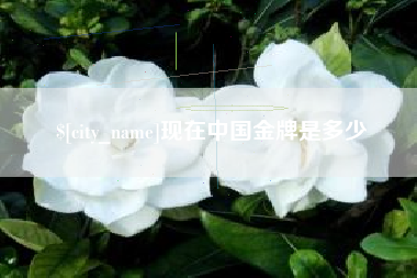 漳浦现在中国金牌是多少