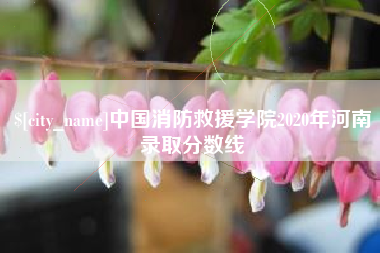 漳浦中国消防救援学院2020年河南录取分数线