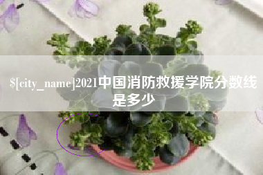 漳浦2021中国消防救援学院分数线是多少