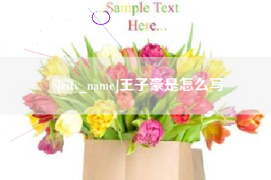 漳浦王子豪是怎么写