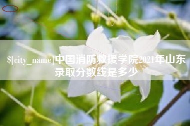 漳浦中国消防救援学院2021年山东录取分数线是多少