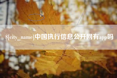 漳浦中国执行信息公开网有app吗