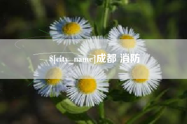 漳浦成都 消防
