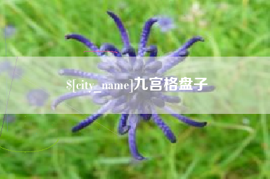 漳浦九宫格盘子
