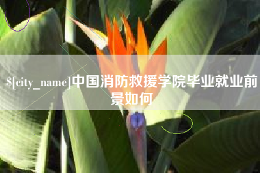 漳浦中国消防救援学院毕业就业前景如何